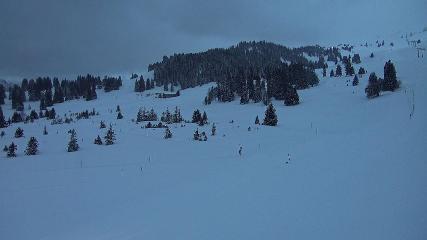 Flumserberg: Prodalp (Flumserberg.ch)