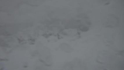 Flumserberg: Prodalp (Flumserberg.ch)