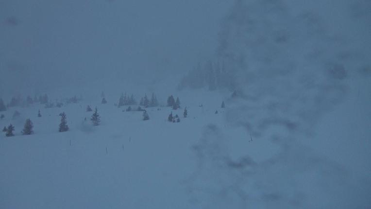 Webcam Flumserberg: Prodalp