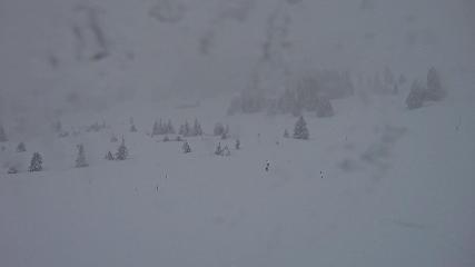 Flumserberg: Prodalp (Flumserberg.ch)