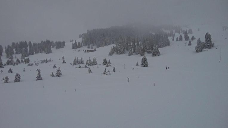 Webcam Flumserberg: Prodalp