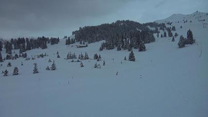 Flumserberg: Prodalp (Flumserberg.ch)