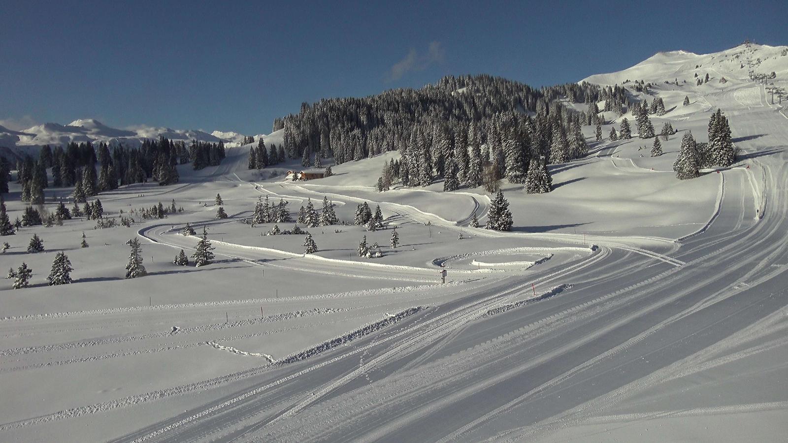 Webcam Flumserberg: Prodalp