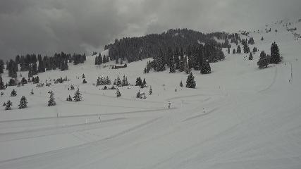 Flumserberg: Prodalp (Flumserberg.ch)