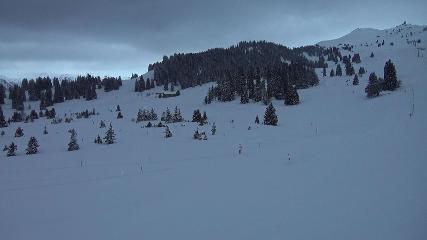 Flumserberg: Prodalp (Flumserberg.ch)