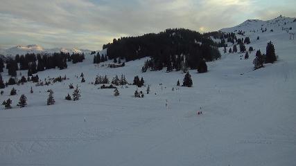 Flumserberg: Prodalp (Flumserberg.ch)