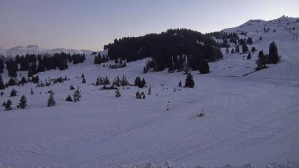 Flumserberg: Prodalp (Flumserberg.ch)