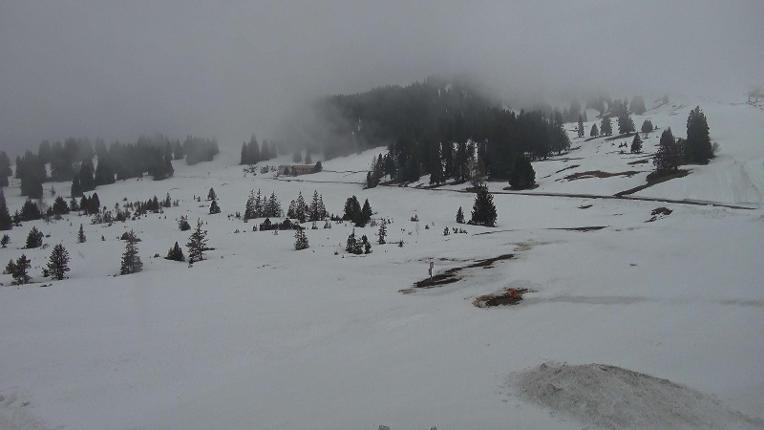 Webcam Flumserberg: Prodalp