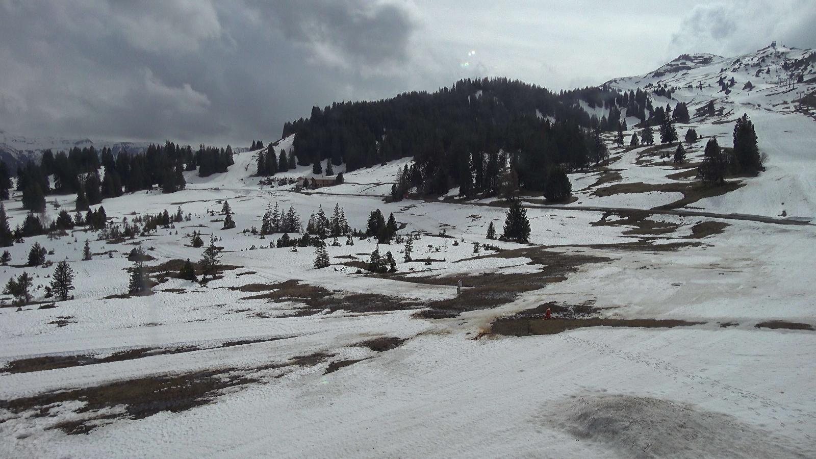 Webcam Flumserberg: Prodalp