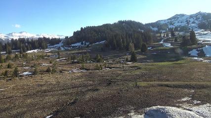 Flumserberg: Prodalp (Flumserberg.ch)