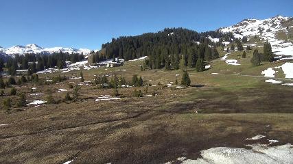 Flumserberg: Prodalp (Flumserberg.ch)