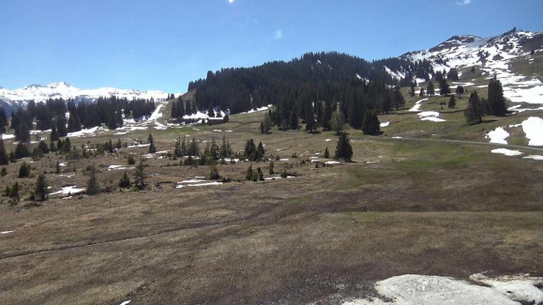 Webcam Flumserberg: Prodalp