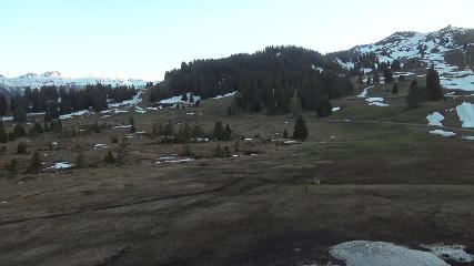 Flumserberg: Prodalp (Flumserberg.ch)