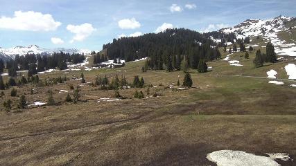 Flumserberg: Prodalp (Flumserberg.ch)