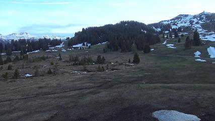 Flumserberg: Prodalp (Flumserberg.ch)