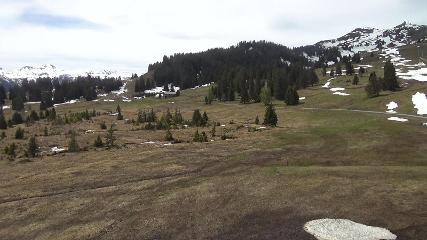 Flumserberg: Prodalp (Flumserberg.ch)