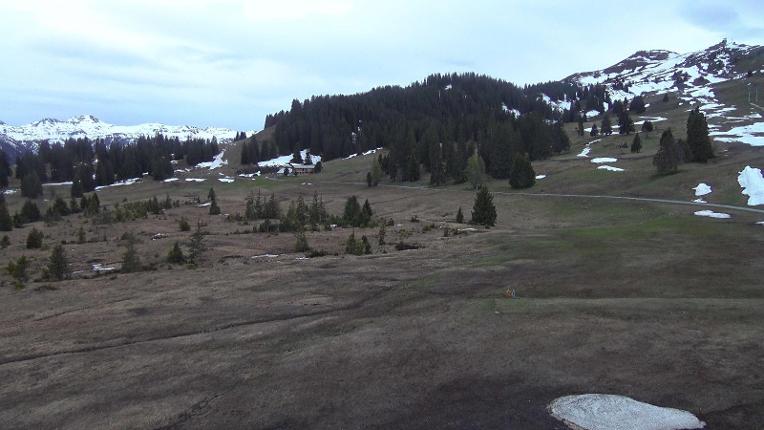 Webcam Flumserberg: Prodalp