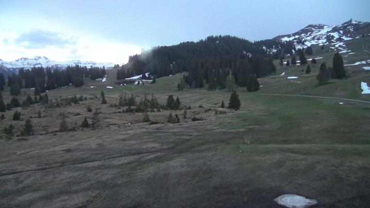Webcam Flumserberg: Prodalp