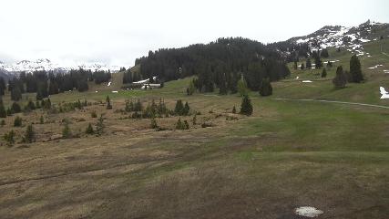 Flumserberg: Prodalp (Flumserberg.ch)