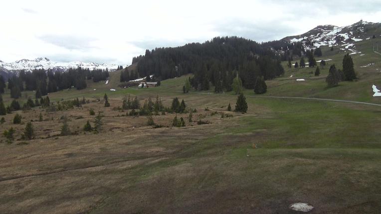 Webcam Flumserberg: Prodalp