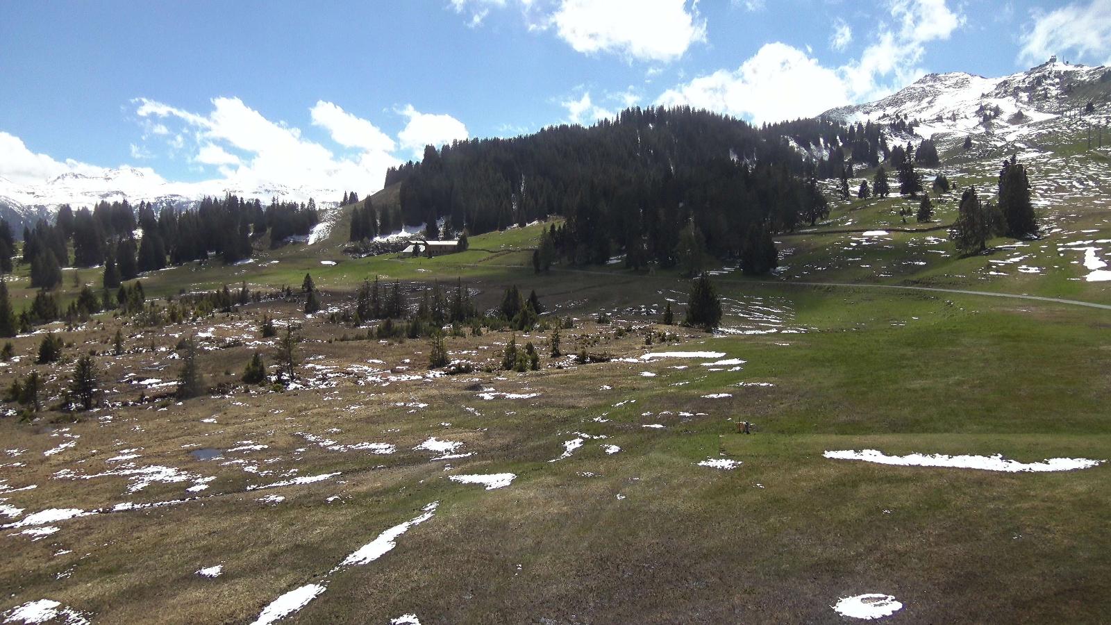 Webcam Flumserberg: Prodalp