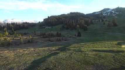 Flumserberg: Prodalp (Flumserberg.ch)
