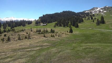 Flumserberg: Prodalp (Flumserberg.ch)