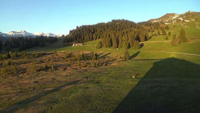 Webcam Flumserberg: Prodalp