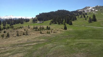 Flumserberg: Prodalp (Flumserberg.ch)