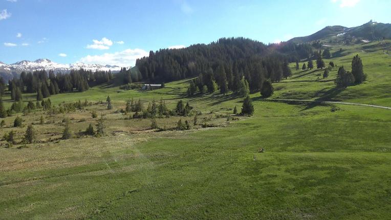 Webcam Flumserberg: Prodalp