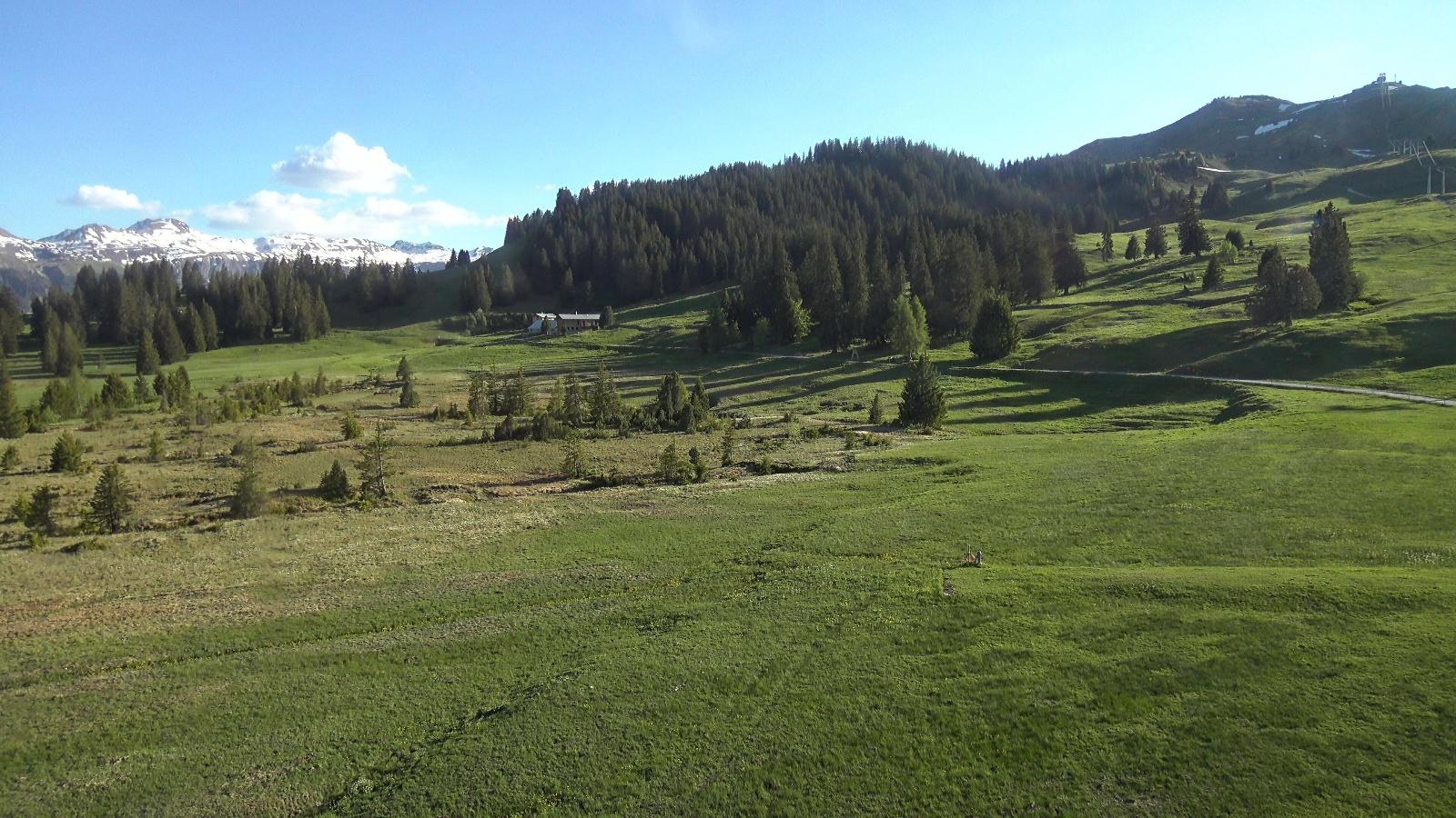 Webcam Flumserberg: Prodalp