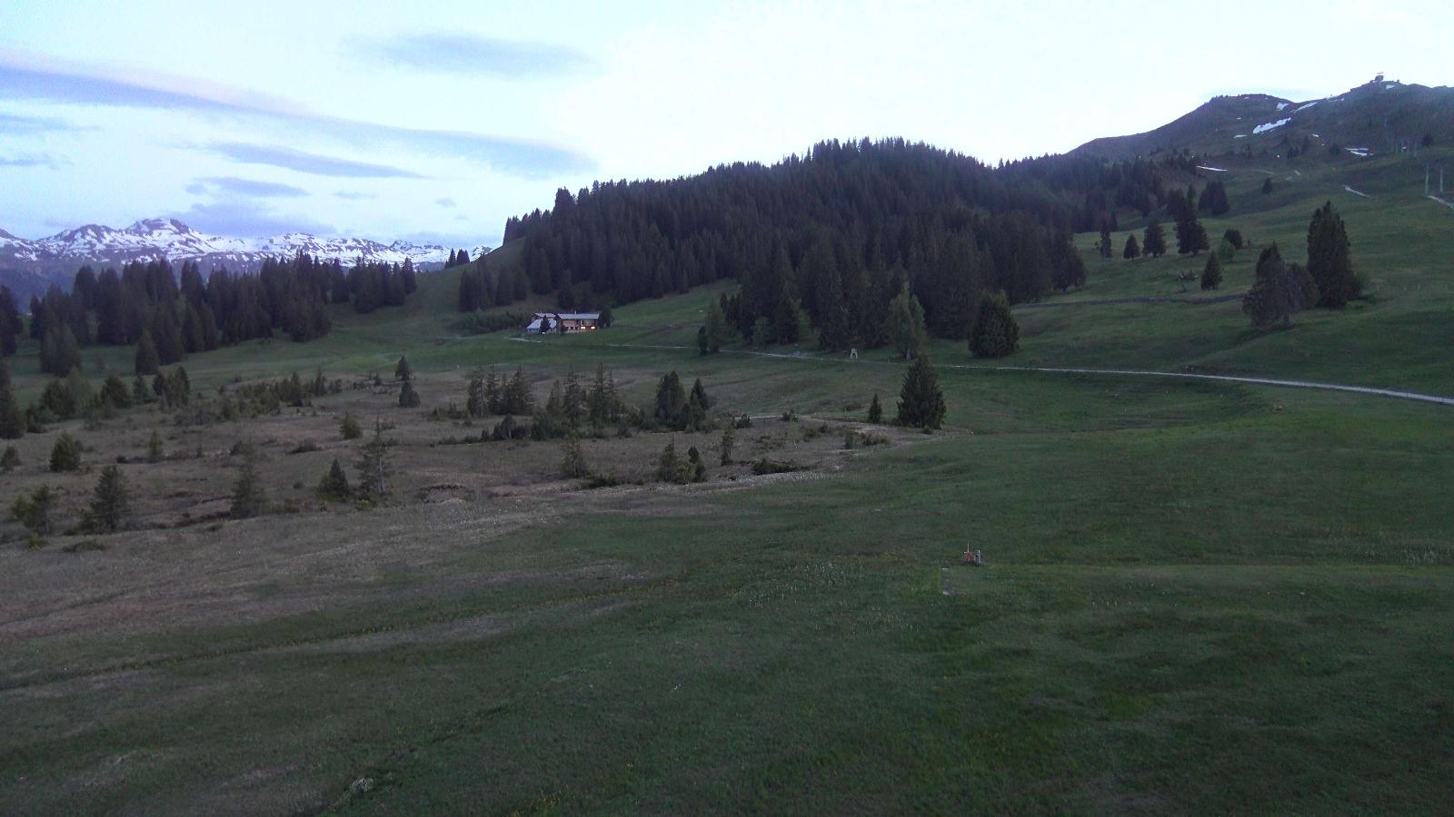 Webcam Flumserberg: Prodalp
