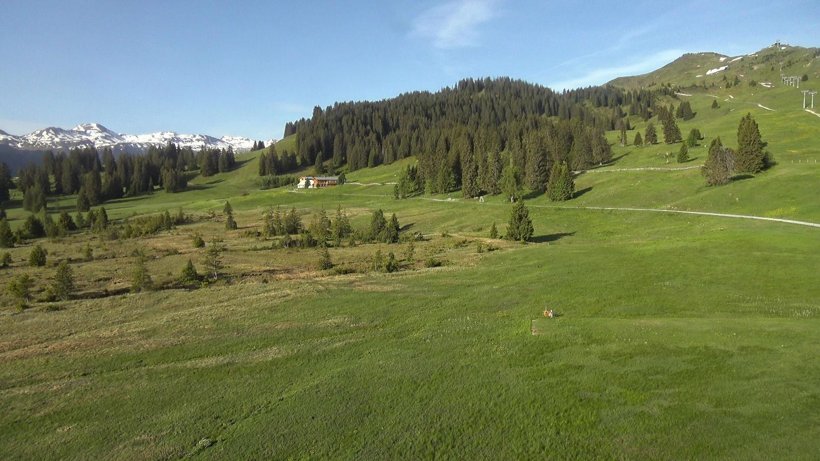 Webcam Flumserberg: Prodalp