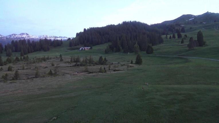 Webcam Flumserberg: Prodalp