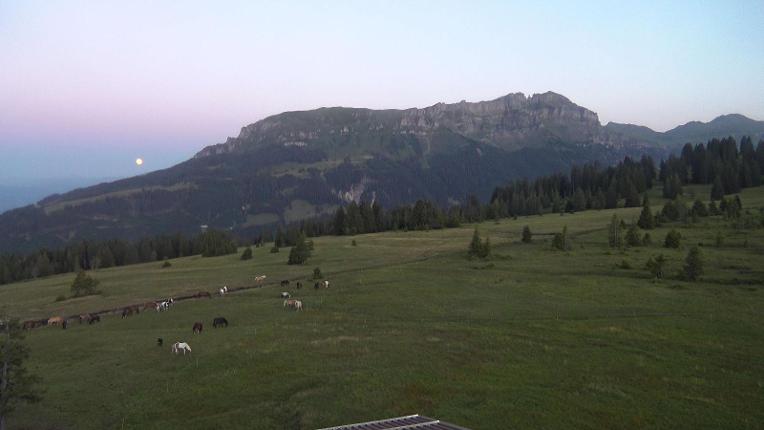 Webcam Flumserberg: Prodkamm