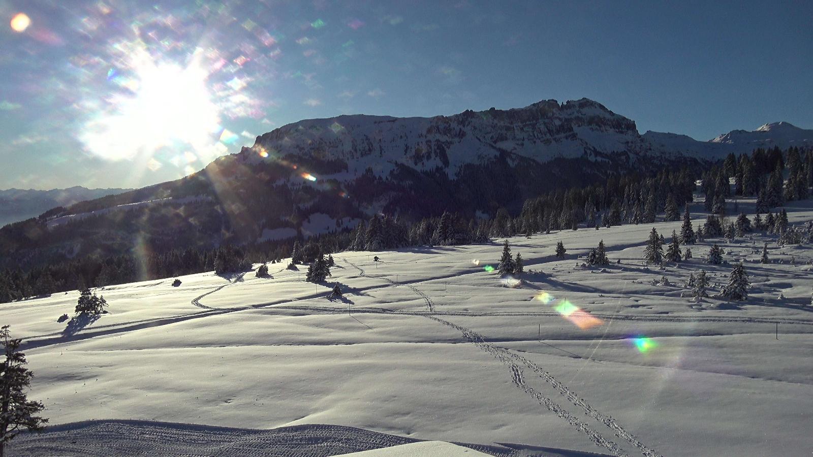 Webcam Flumserberg: Prodkamm