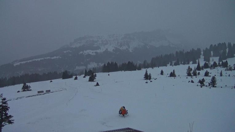 Webcam Flumserberg: Prodkamm