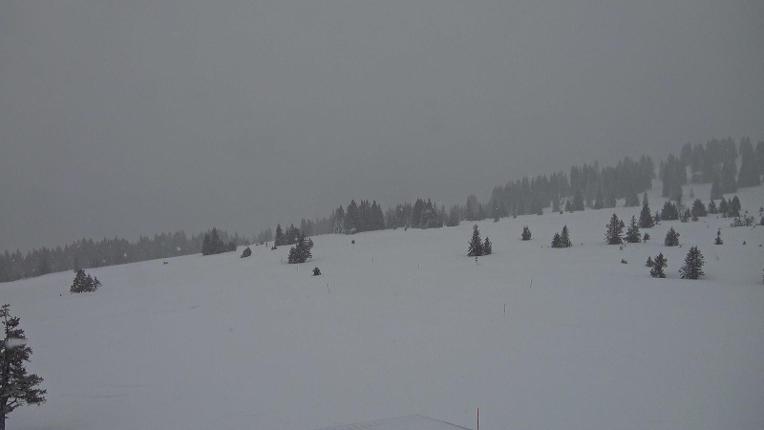 Webcam Flumserberg: Prodkamm