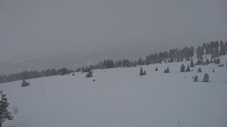 Webcam Flumserberg: Prodkamm