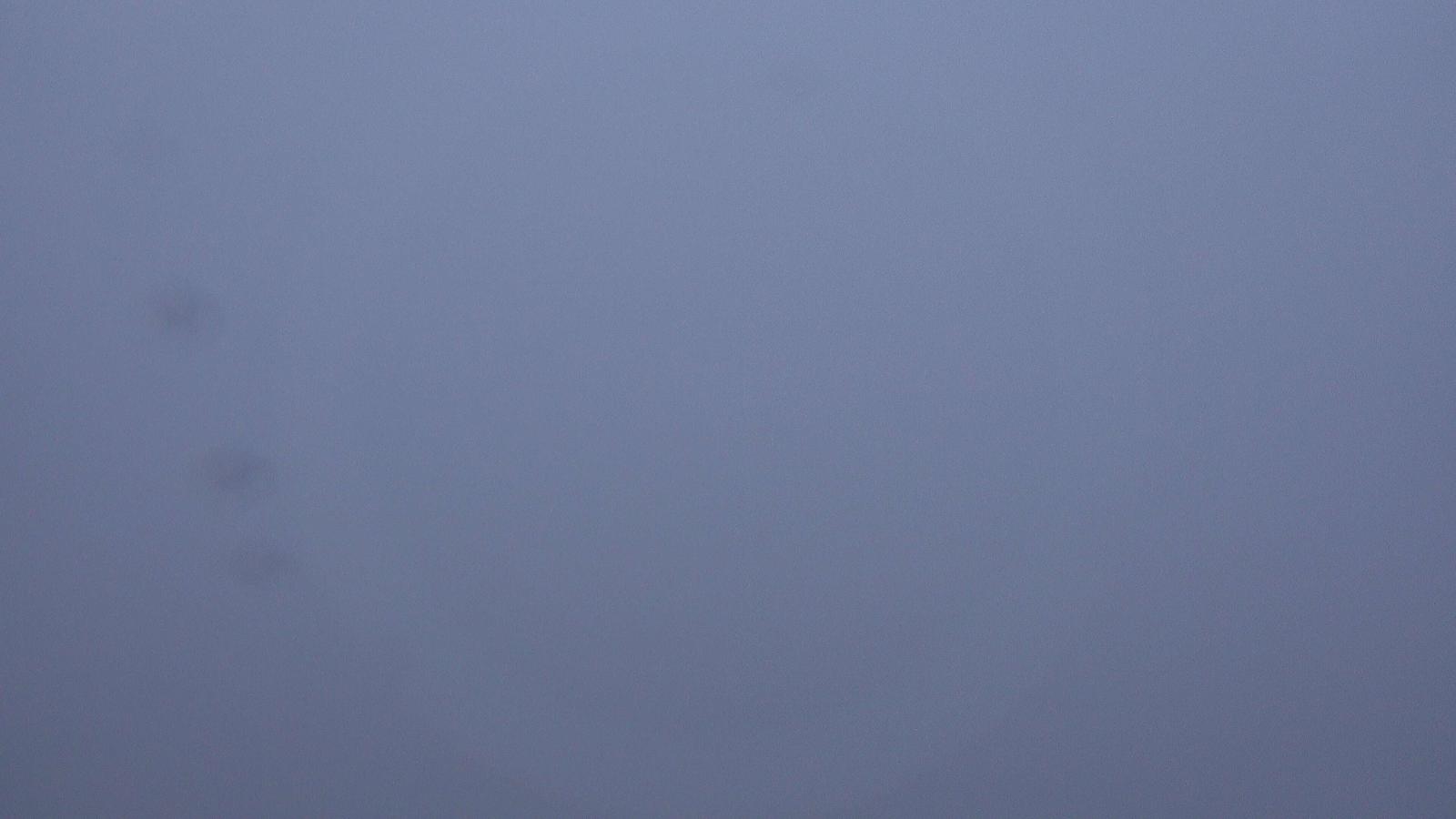 Webcam Flumserberg: Seebenalp 1622m
