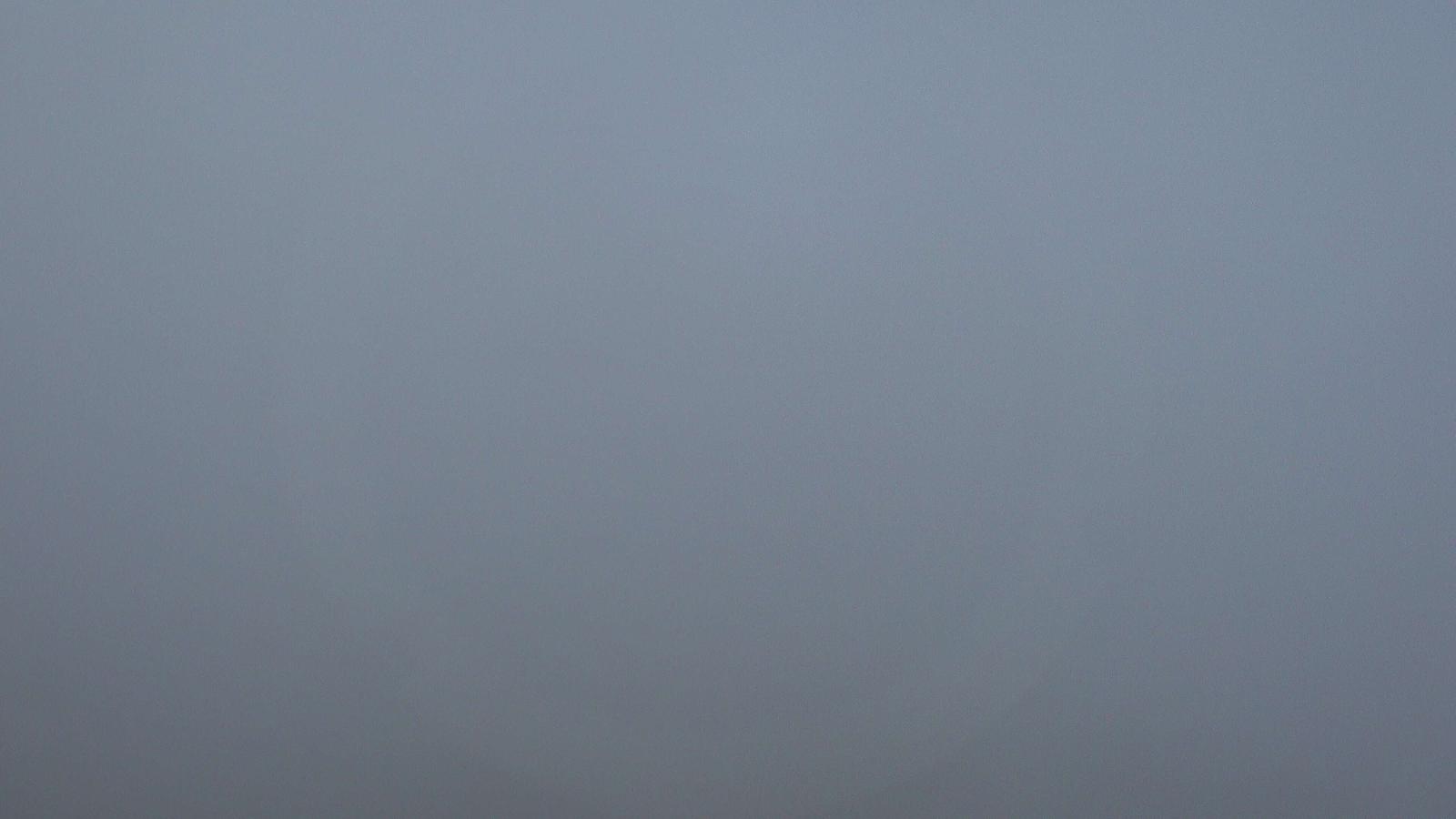 Webcam Flumserberg: Seebenalp 1622m