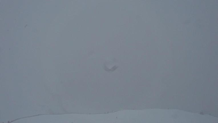 Webcam Flumserberg: Seebenalp 1622m