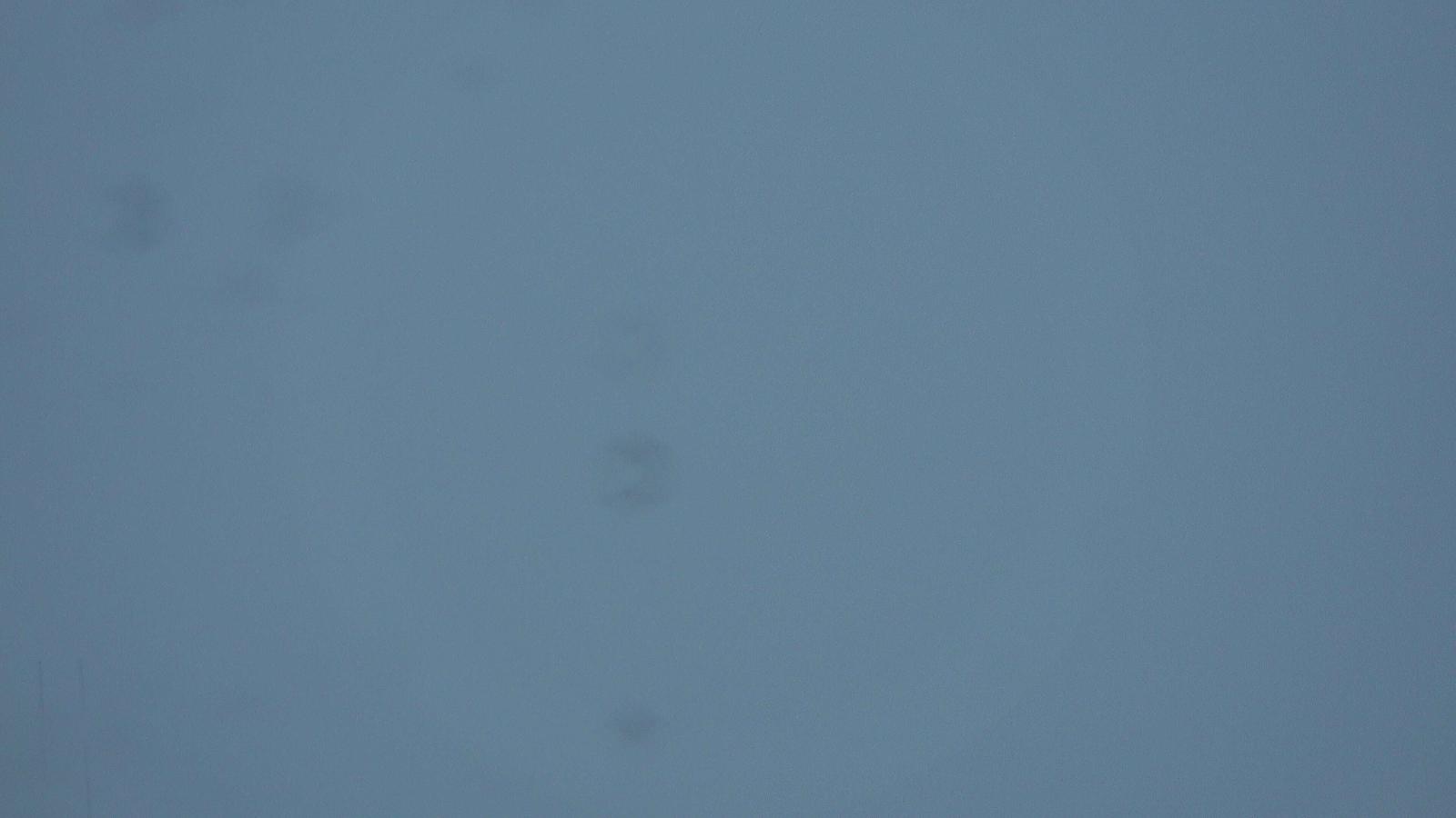 Webcam Flumserberg: Sesselbahn