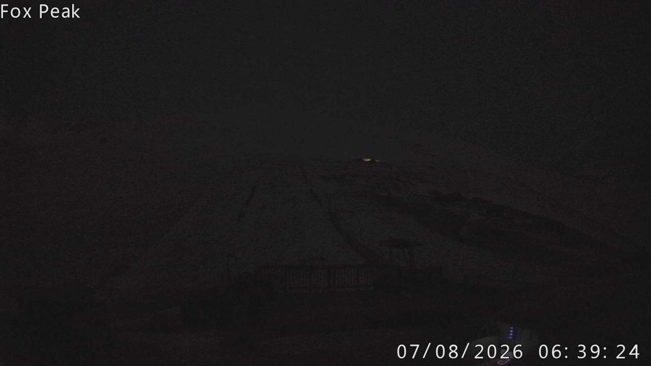 Webcam Fox Peak: Learners
