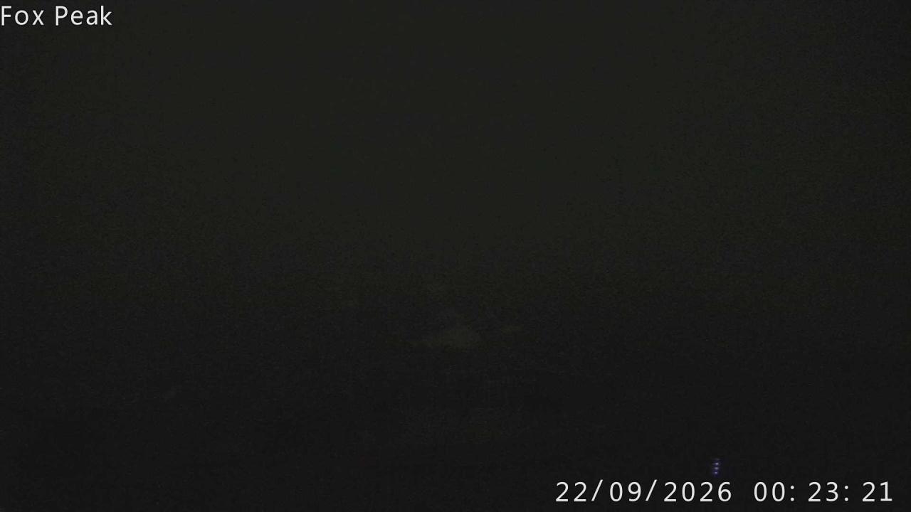 Webcam Fox Peak: Learners
