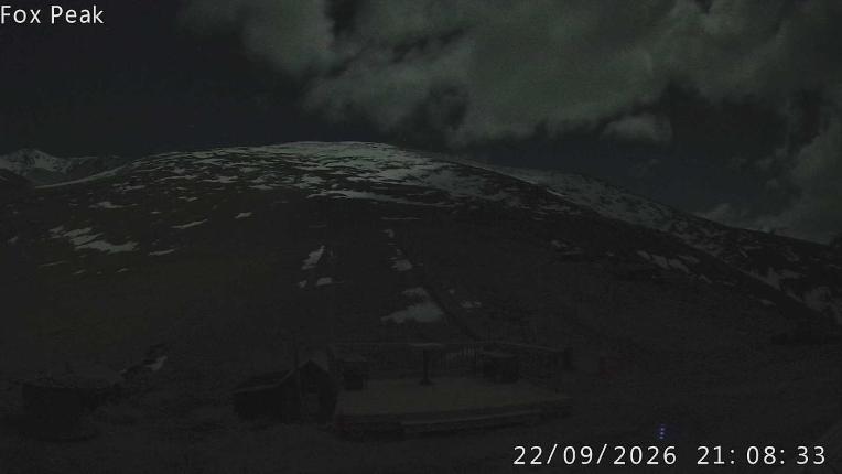 Webcam Fox Peak: Learners