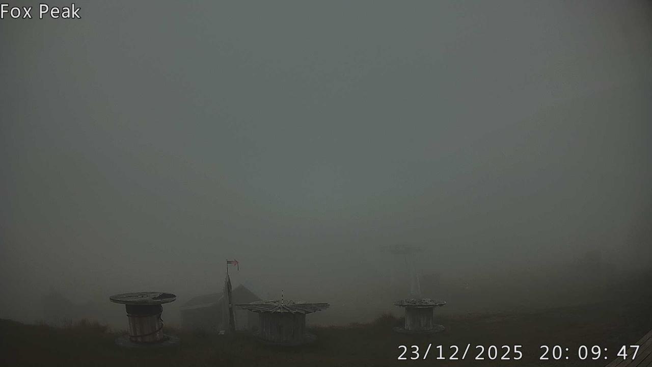 Webcam Fox Peak: Learners