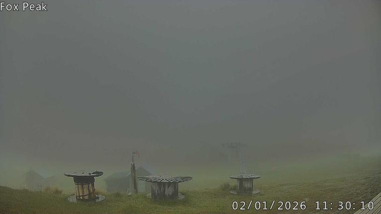 Webcam Fox Peak: Learners