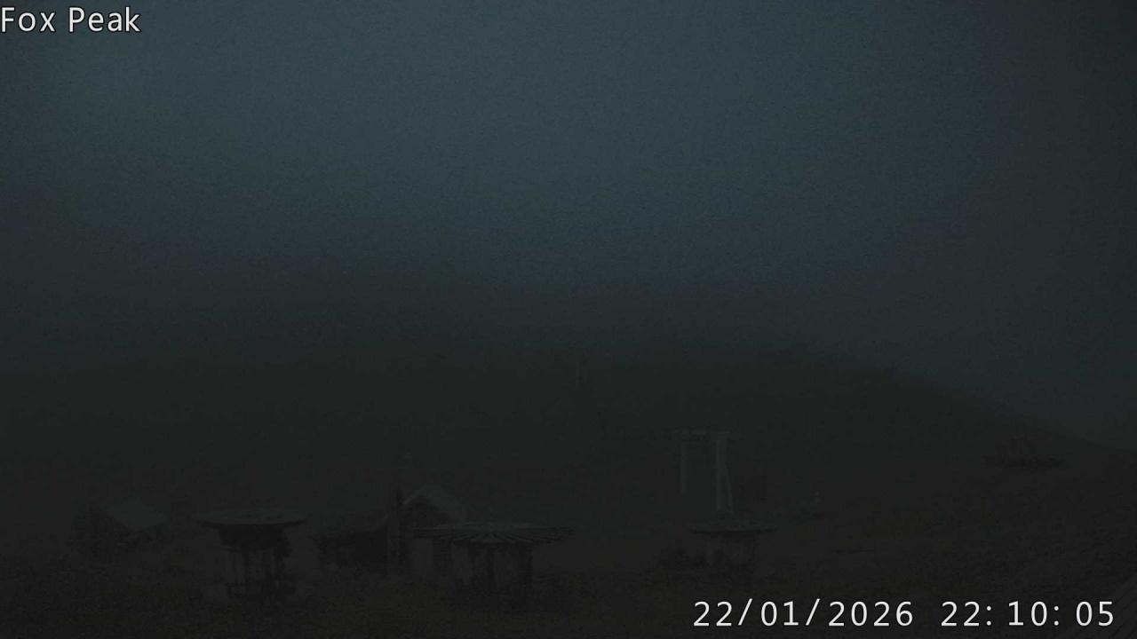 Webcam Fox Peak: Learners