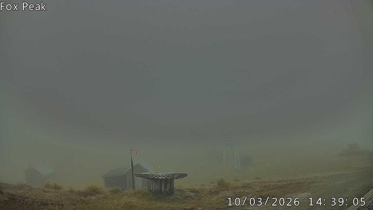 Webcam Fox Peak: Learners